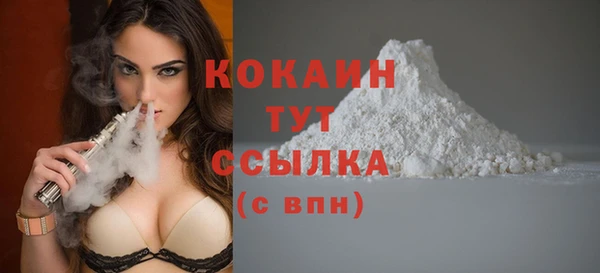 соль ск Нея